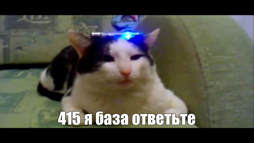 415 я База ответьте