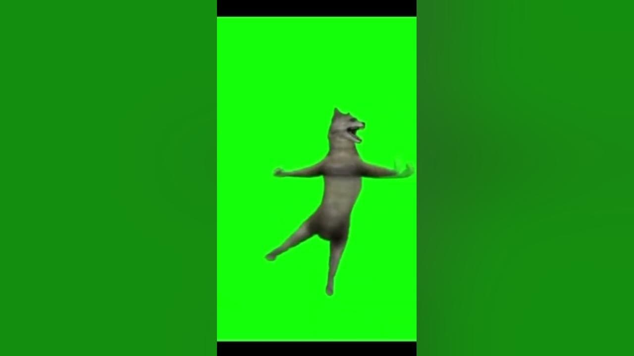 Ихвильнихт