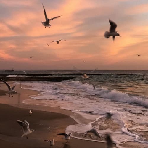 Эта Любовь Свела Меня С Ума