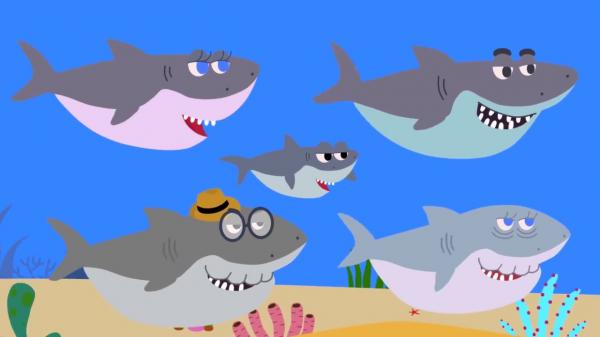 Акулёнок я туруру