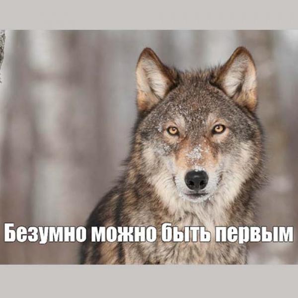 Безумно можно быть первым