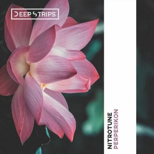 Чистая мелодика