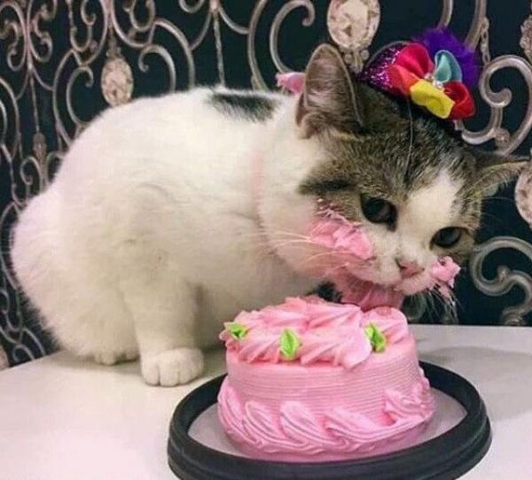 День рождения, снова в сказку ты поверь