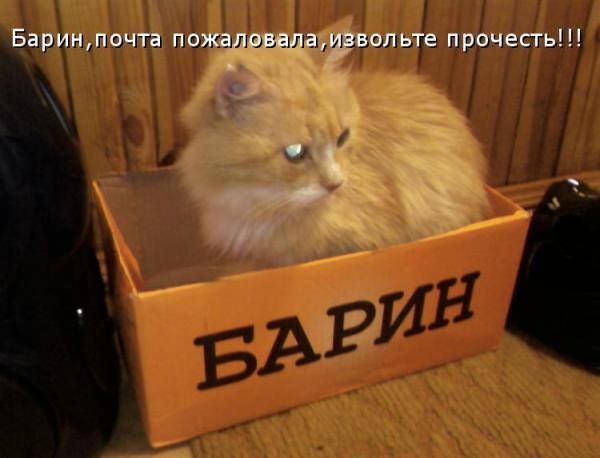 Для барина :)