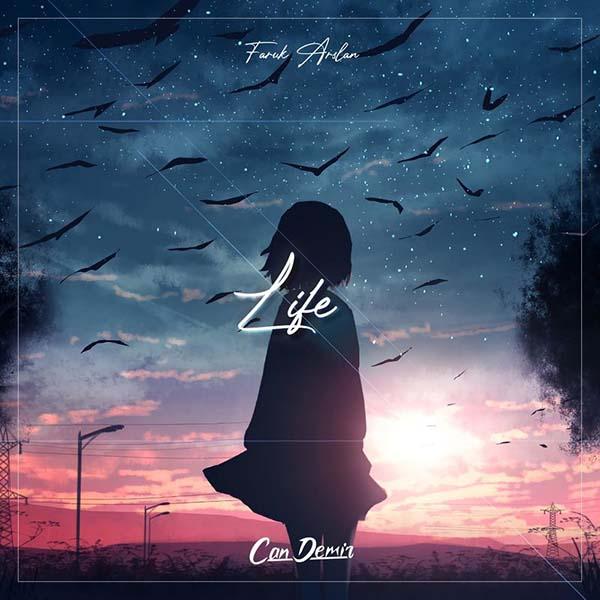 Красивая жизнь