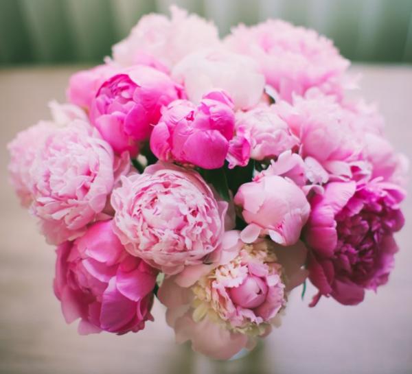 Нежная мелодия