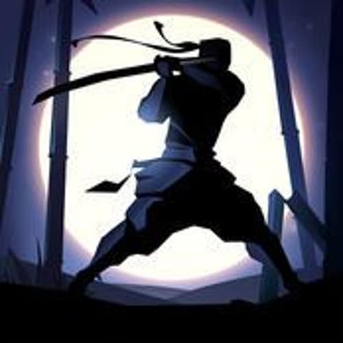 Крутая азиатская Ninja in the Night
