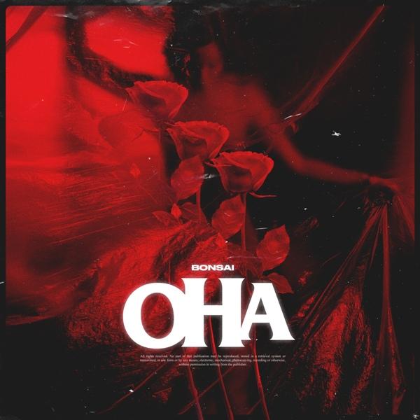 Она моя Лейла