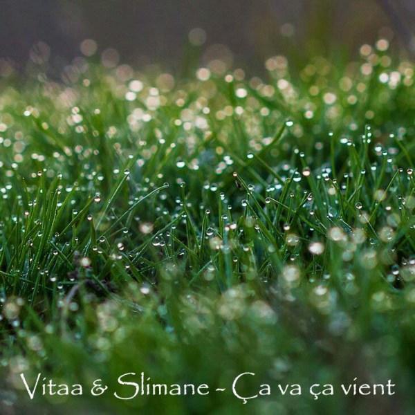 Роса на рассвете