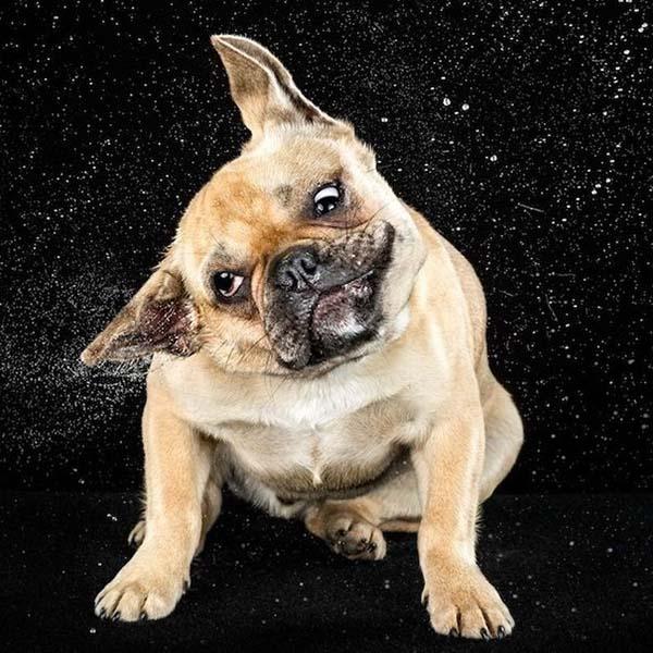 Смешная смс-ка