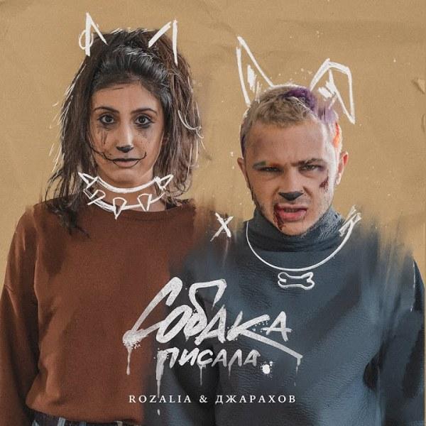 Собака писала, собака какала