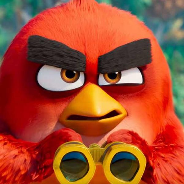 Заело птичку